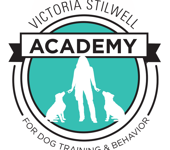 Introducing The Victoria Stilwell Academy For Dog Training & Behavior! | Victoria  Stilwell Positively