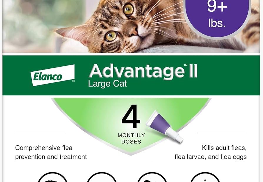 Amazon.Com : Advantage Ii Large Cat Vet-Recommended Flea Treatment &  Prevention | Cats Over 9 Lbs. | 4-Month Supply : Pet Flea Drops : Pet  Supplies