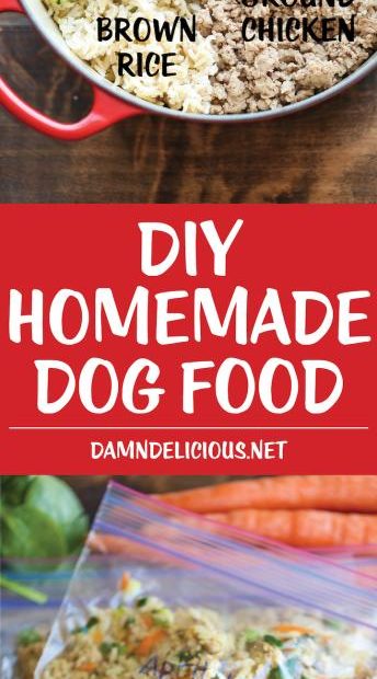 Diy Homemade Dog Food - Damn Delicious
