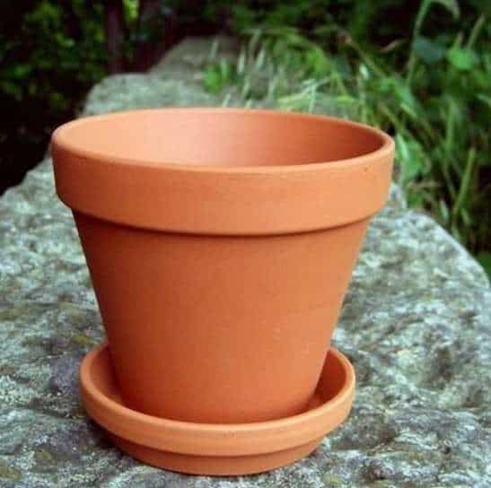 Do Outdoor Pots Really Need Saucers? 9 Pros And Cons – Do Not Disturb  Gardening