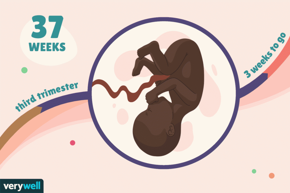 37 Weeks Pregnant: Baby Development, Symptoms, And More