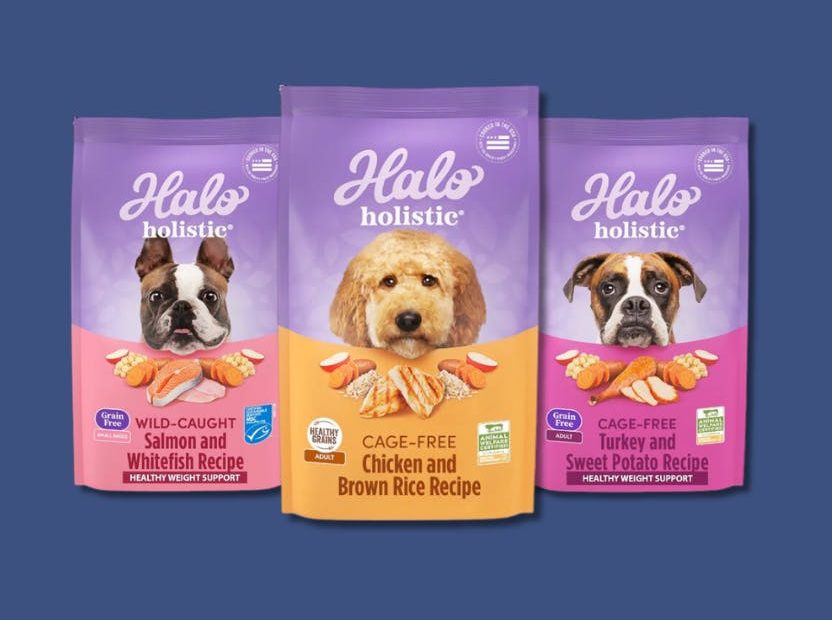 Halo Dog Food Review 2023
