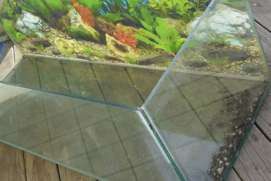 How To Safely Clean A Secondhand Fish Tank Or Aquarium - Pethelpful