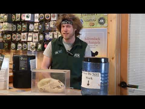 Renting A Bear Canister - Youtube