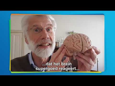 Prof. dr. Erik Scherder - Waarom moeten we blijven leren als we ouder worden?