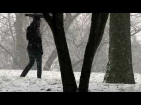 Blackbery Winter by Sarah Jio-Book Trailer.mov