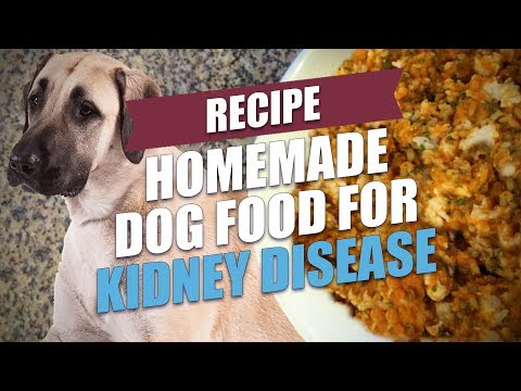 Homemade Dog Food for Kidney Disease Recipe (Simple and Cheap)