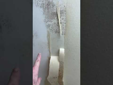 What Happens to Wallpaper Installed Without Priming First?