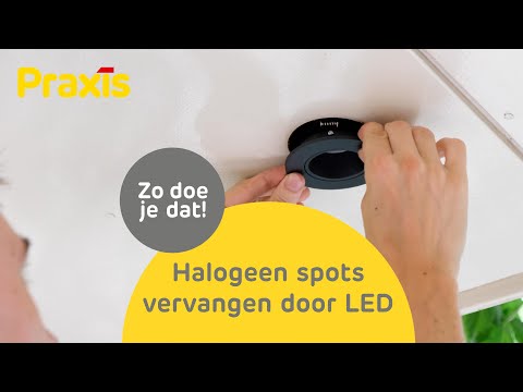 Halogeenlampje vervangen door LED - Stappenplan | Praxis