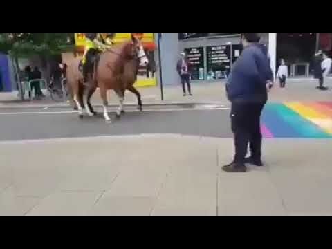 UK mounted police scared of rainbow LGBTQ+ pedestrian crossing